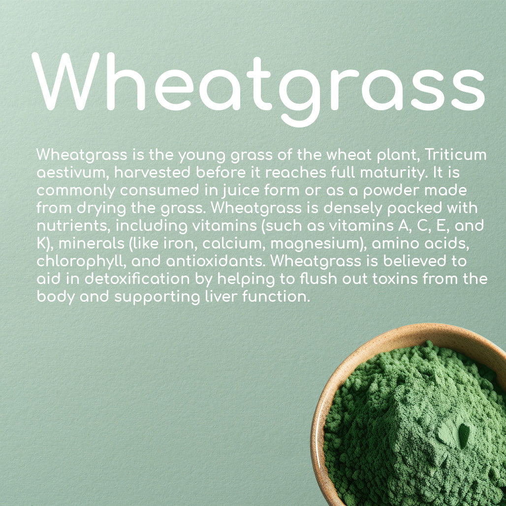 Wheatgrass Powder